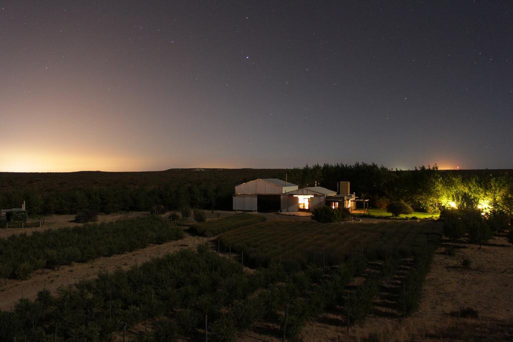 プエルト・マドリン La Calandria Casa De Campoヴィラ エクステリア 写真